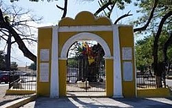 Samán de Guere
